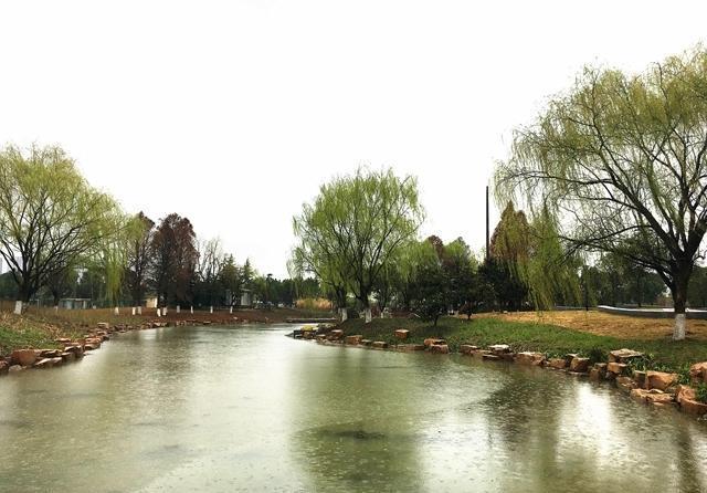 打造會(huì)“呼吸”的城市 嘉興海綿城市建設(shè)試點(diǎn)紀(jì)事