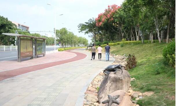 翔安洪鐘大道改造完工，一路暢通還能逛“公園”