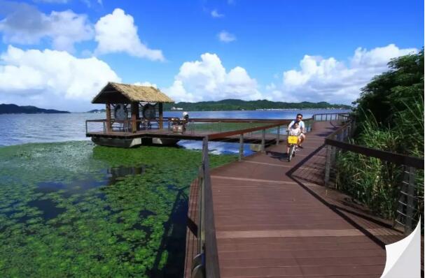 趁著冷空氣還沒來，去運(yùn)動(dòng)如何？寧波最美綠道都在這里了