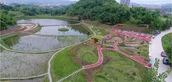 兩江新區(qū)悅來海綿建設試點樣板間全市推廣