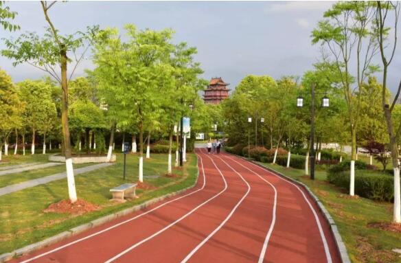 宜春健康步道改造完工，高顏值的新去處！